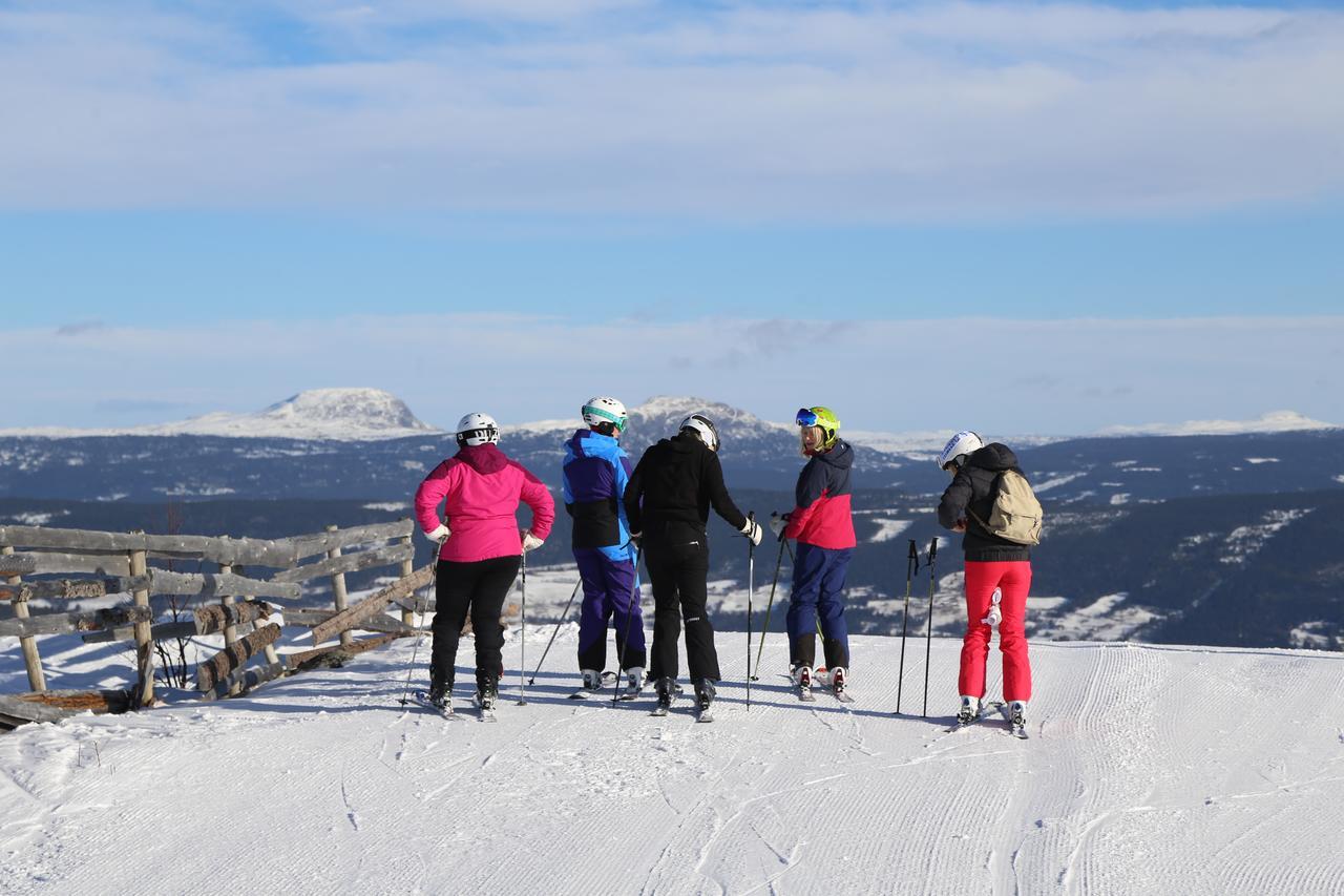 Gomobu Fjellstue Hotell Ron Exteriör bild