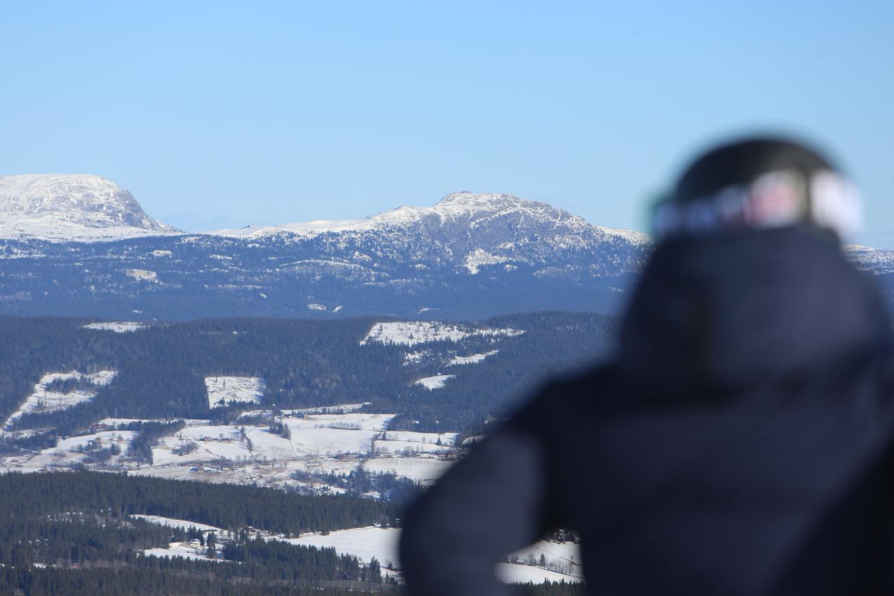 Gomobu Fjellstue Hotell Ron Exteriör bild