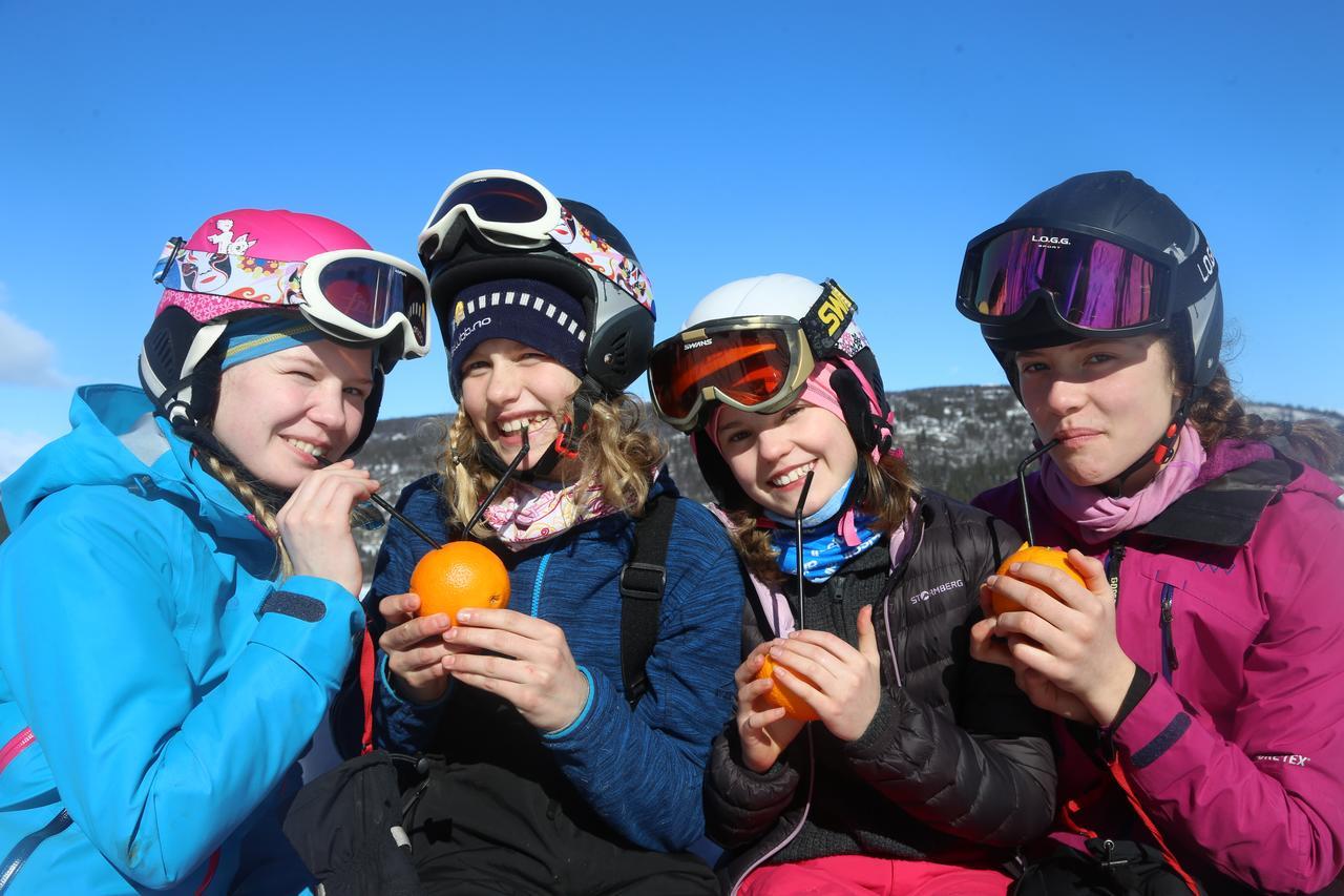 Gomobu Fjellstue Hotell Ron Exteriör bild