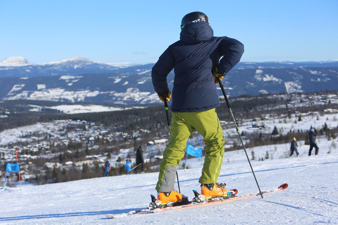 Gomobu Fjellstue Hotell Ron Exteriör bild