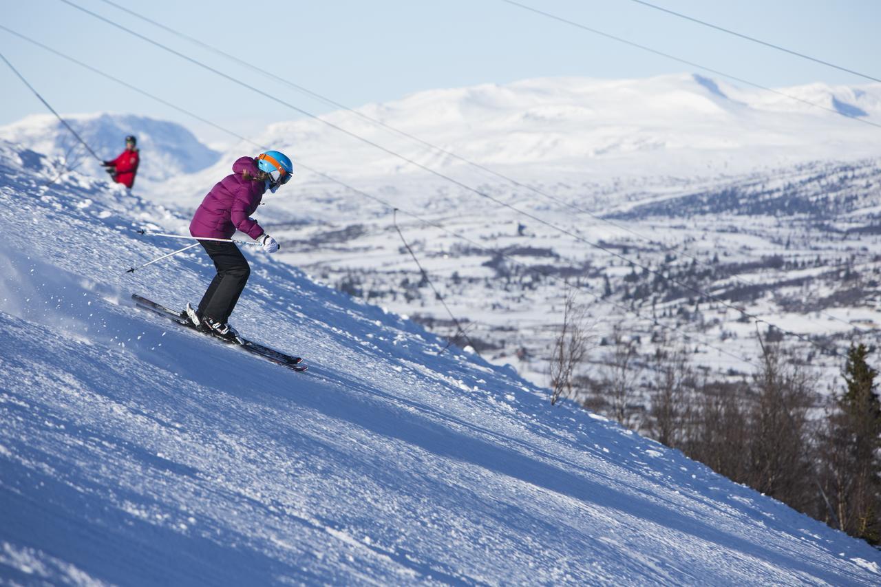 Gomobu Fjellstue Hotell Ron Exteriör bild