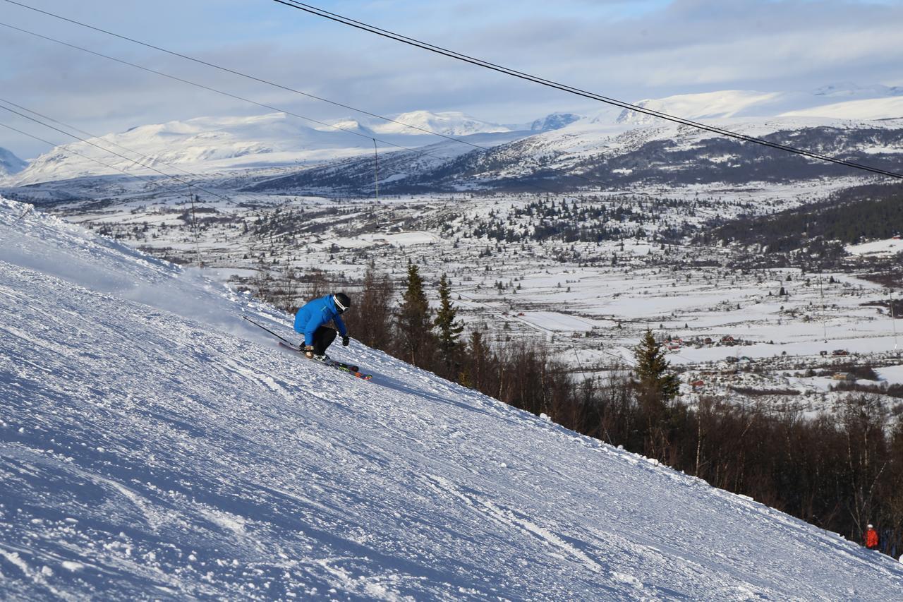 Gomobu Fjellstue Hotell Ron Exteriör bild