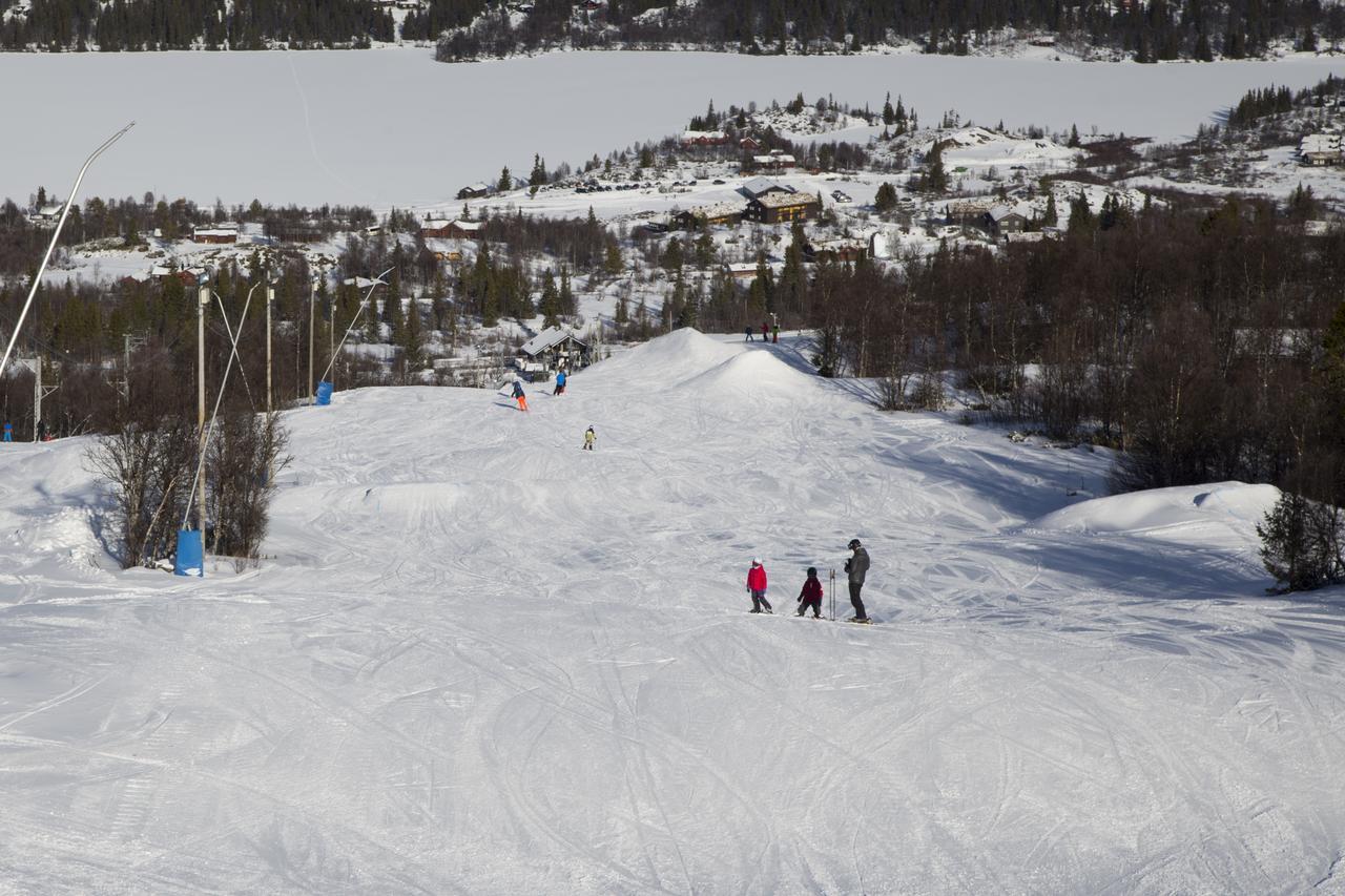 Gomobu Fjellstue Hotell Ron Exteriör bild