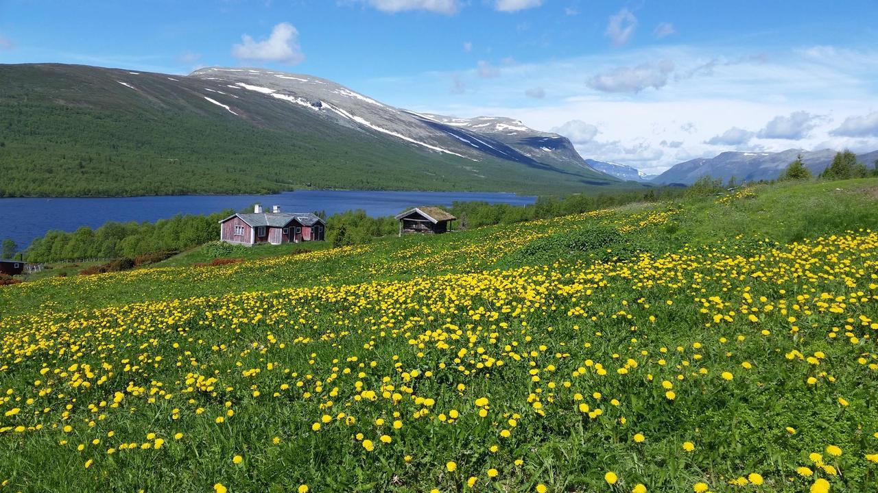 Gomobu Fjellstue Hotell Ron Exteriör bild